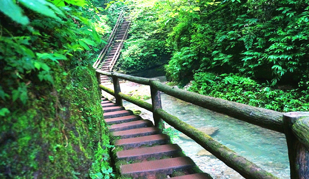 青城山后山风景都围绕着山间的溪水,一路飞瀑和水潭,风景好的路线都是