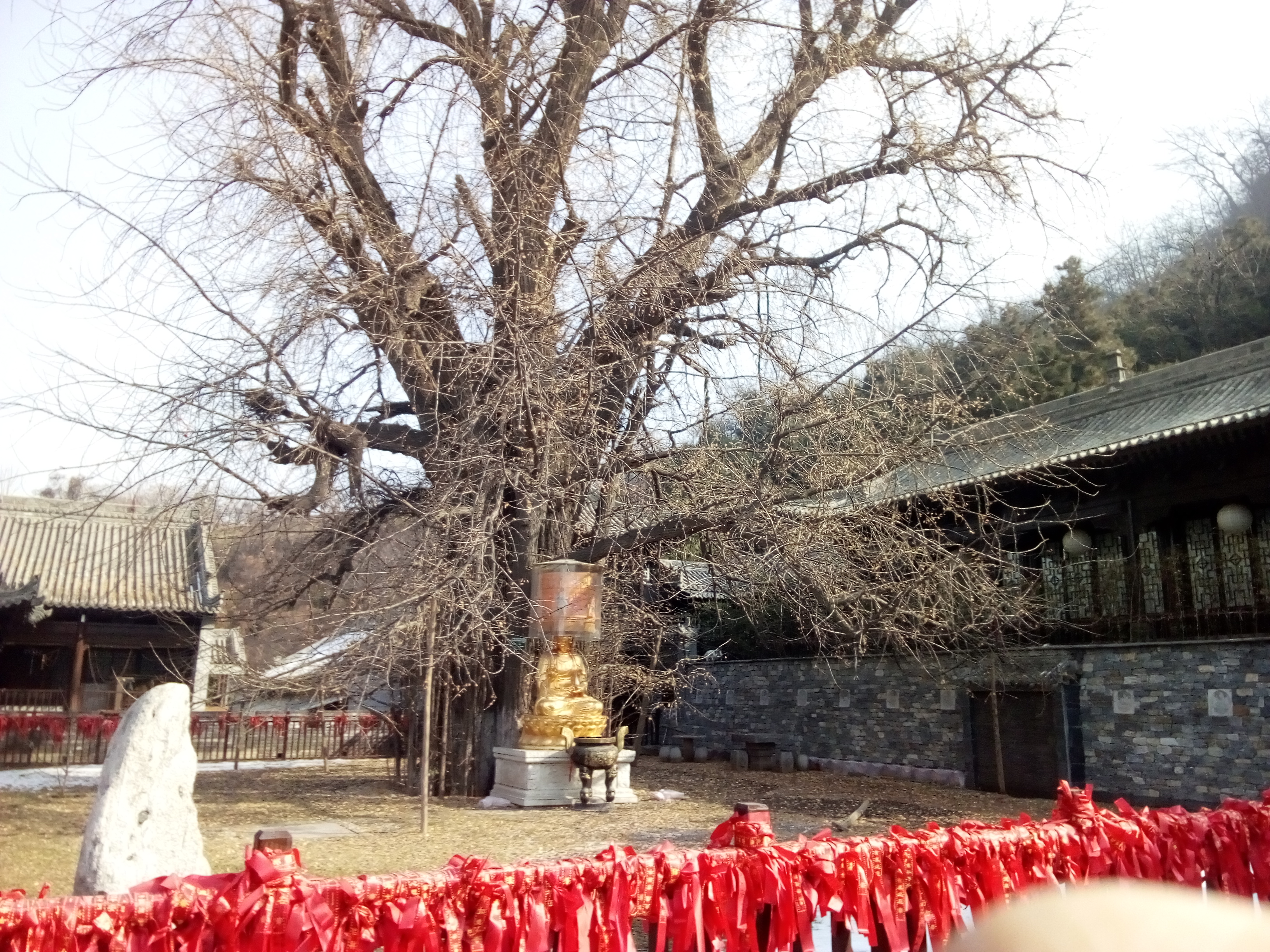 2019古观音禅寺_旅游攻略_门票_地址_游记点评,西安