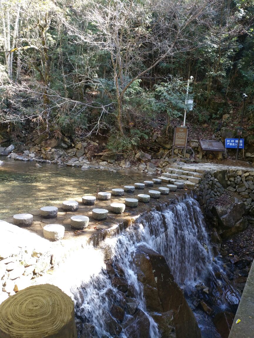 百山祖景区