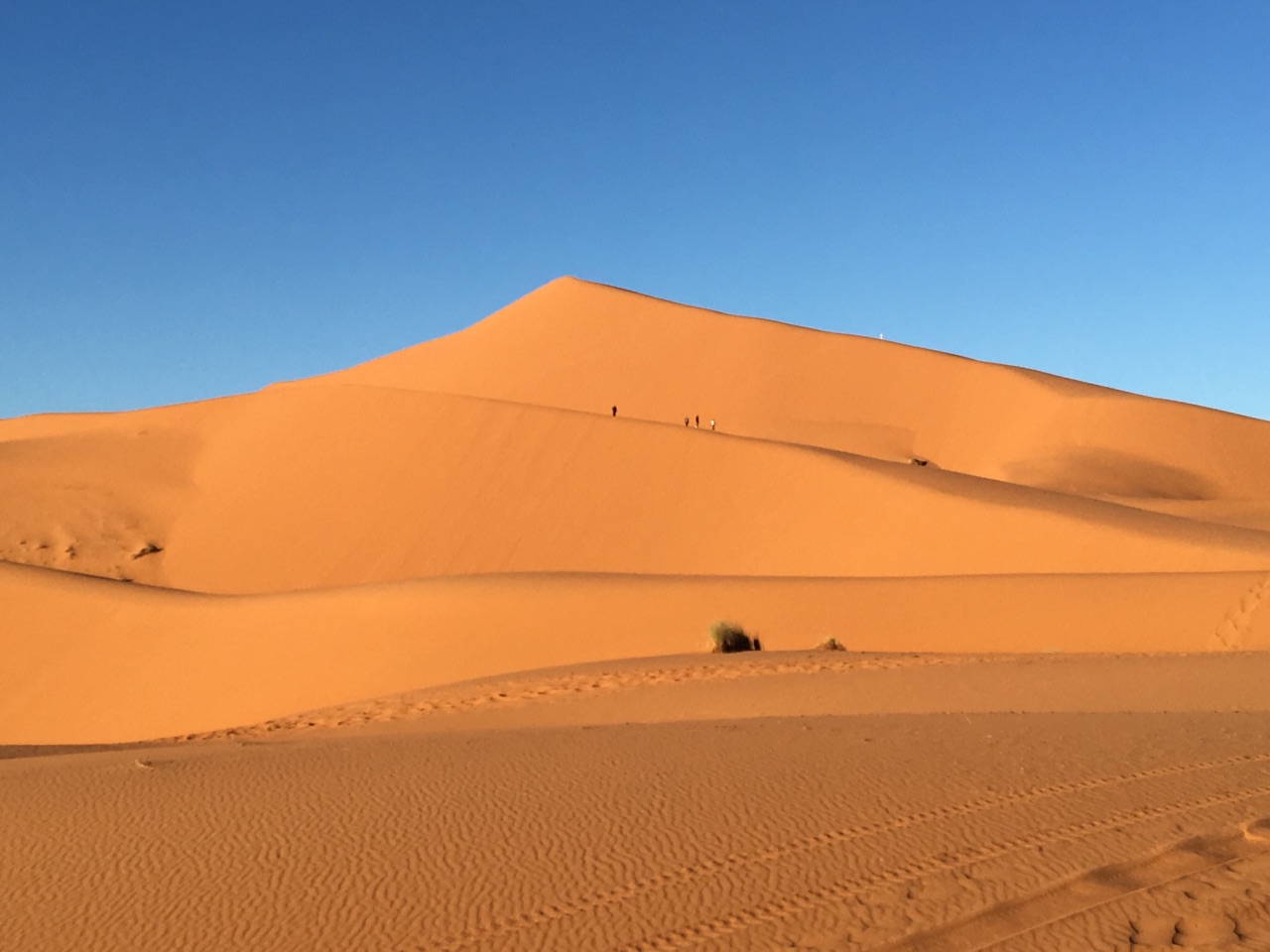 撒哈拉沙漠sahara desert