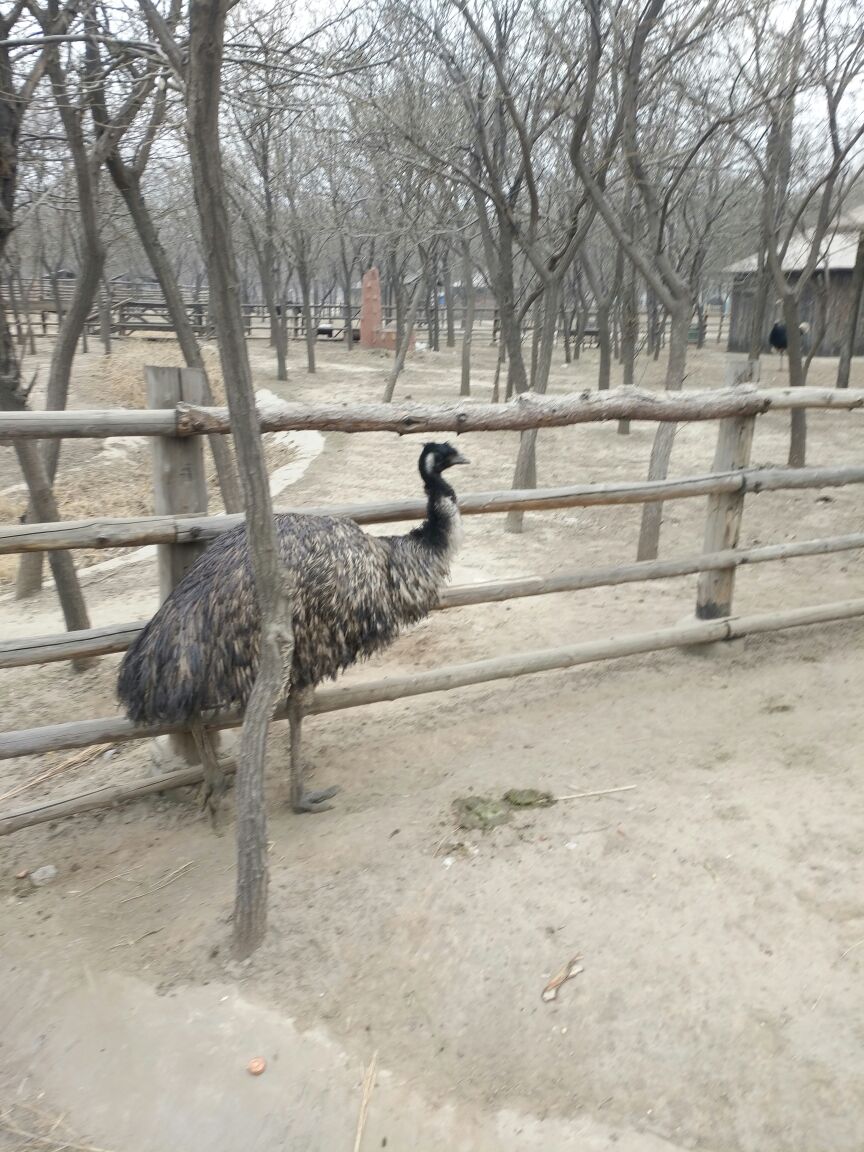 太原动物园旅游景点攻略图