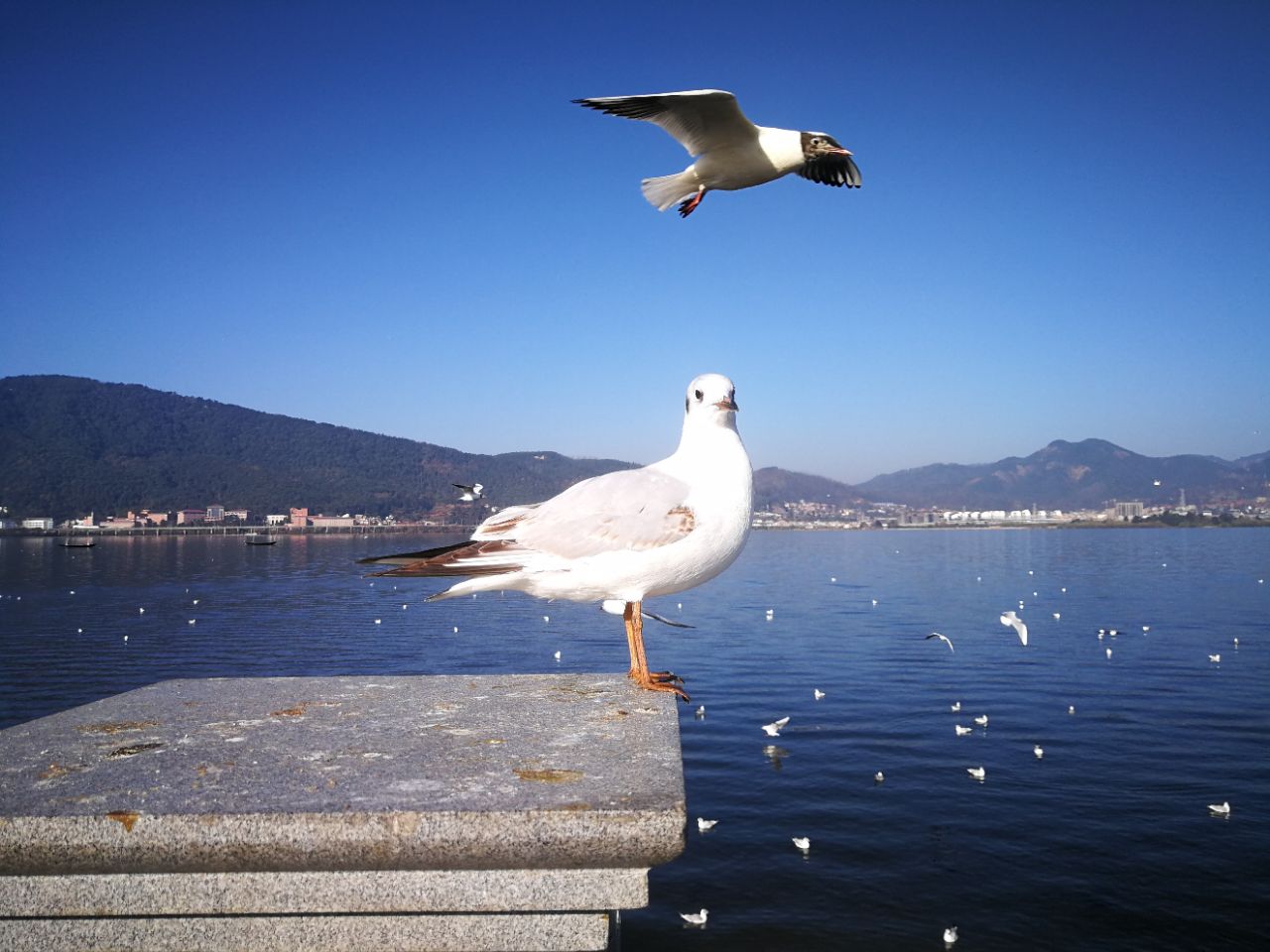 海埂公园旅游景点攻略图