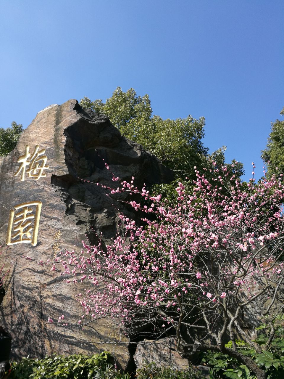 无锡梅园好玩吗,无锡梅园景点怎么样_点评_评价【携程