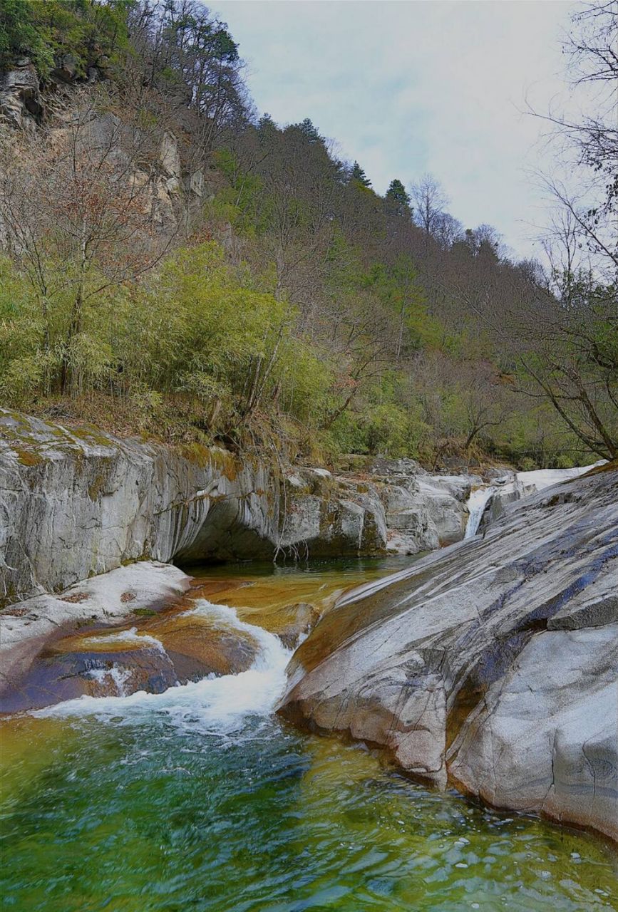 【携程攻略】洋县长青自然保护区景点,长青国家级自然