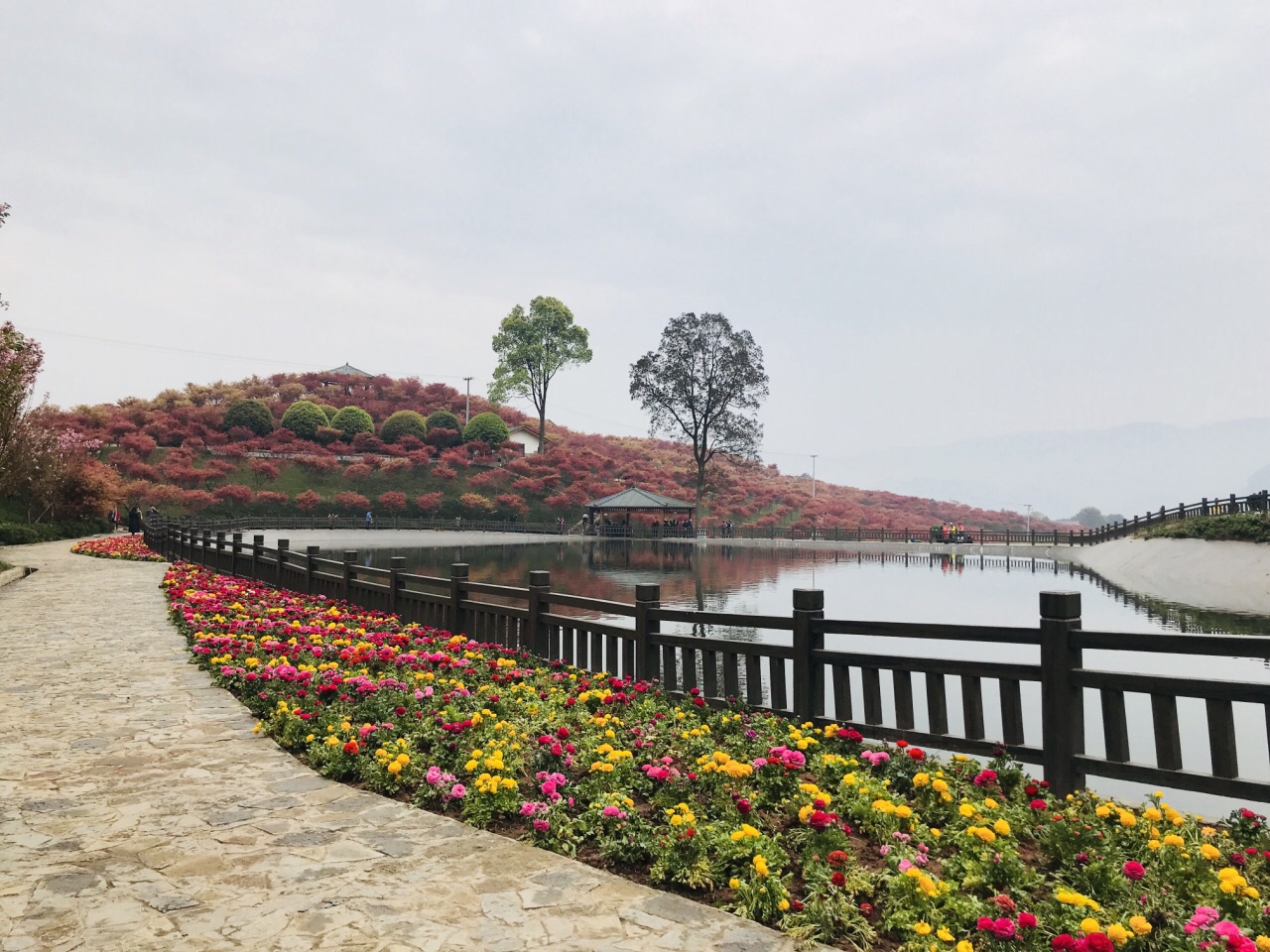 重庆南湖多彩植物园好玩吗,重庆南湖多彩植物园景点样