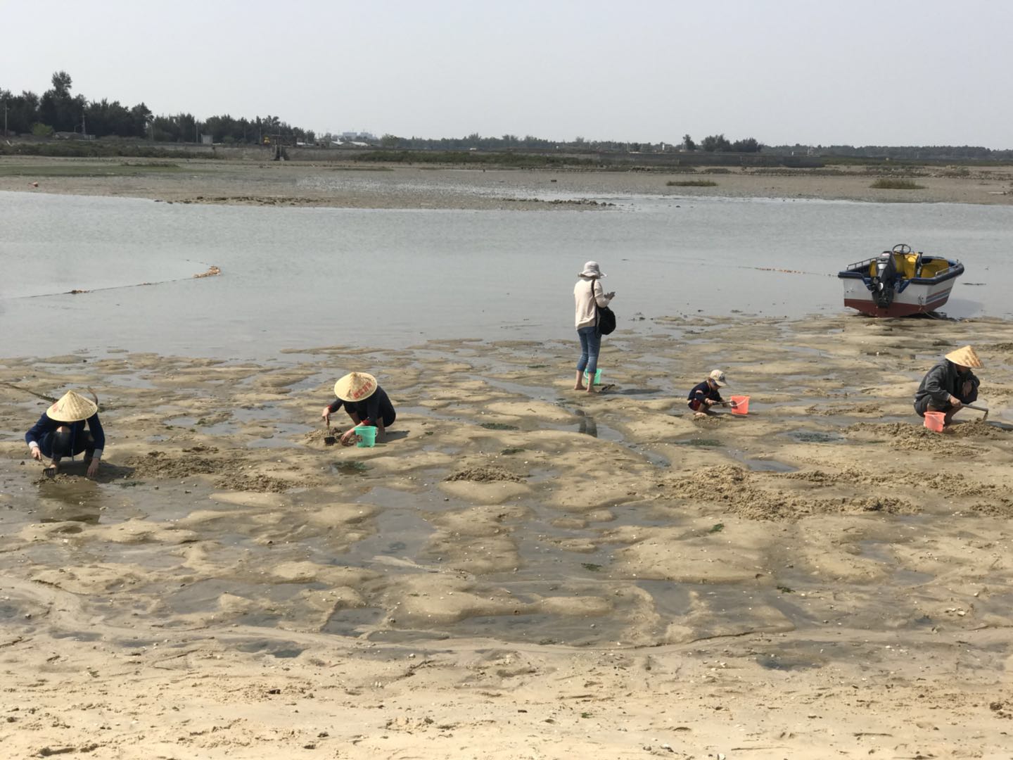 北海红树林天天赶海景点怎么样_点评_评价【携程攻略】