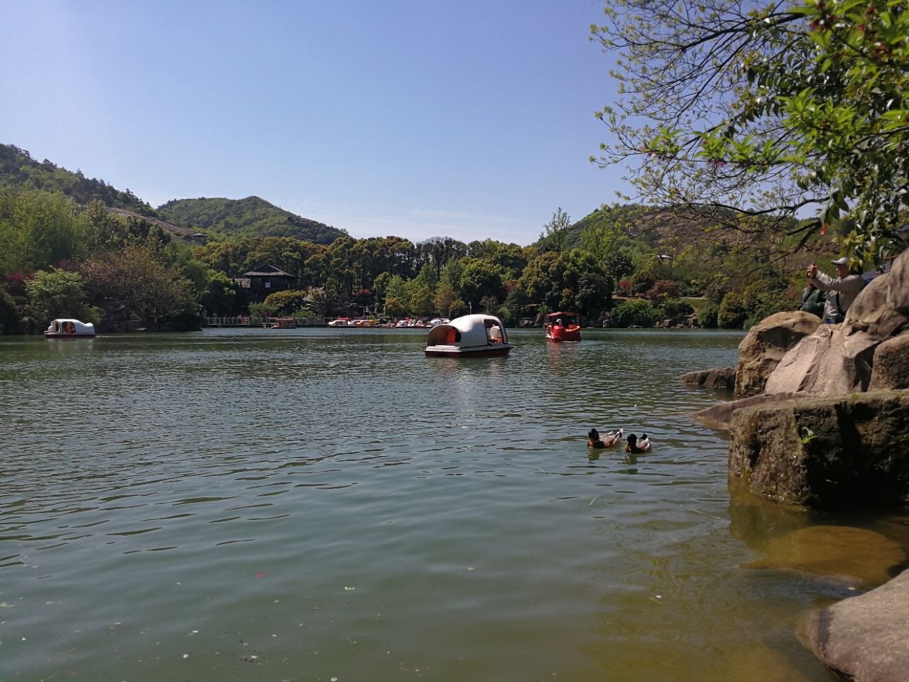 2019白马涧龙池景区_旅游攻略_门票_地址_游记点评,苏州旅游景点推荐