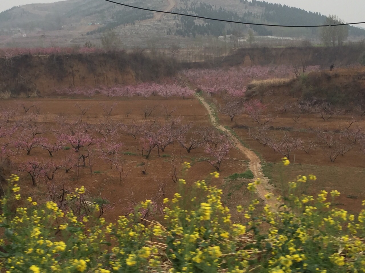 刘台桃花源风景区