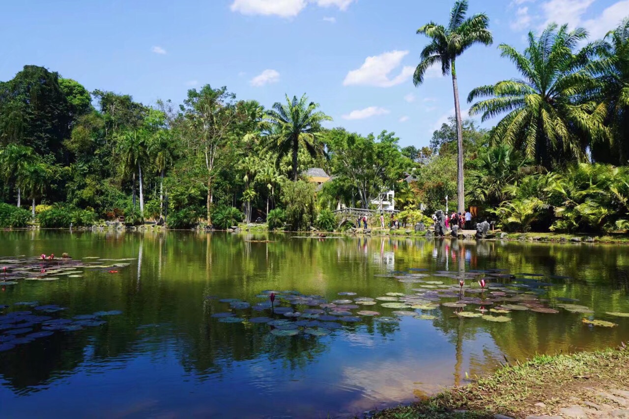 西双版纳旅游景点