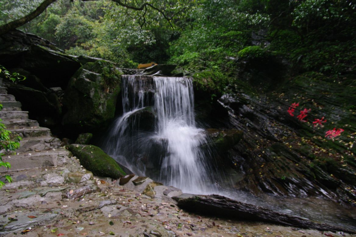 景区还包括乡村风情廊,购物街,土家风情园等.
