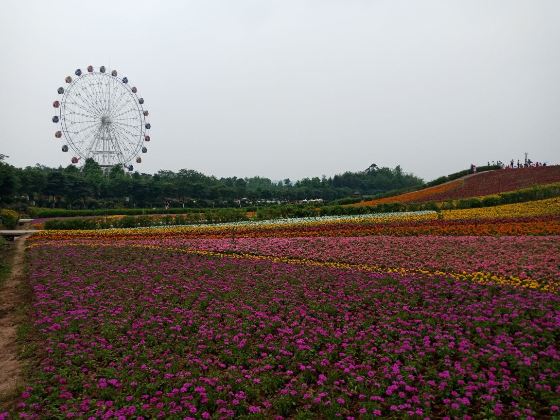 铜梁区黄桷门奇彩梦园好玩吗,铜梁区黄桷门奇彩梦园样