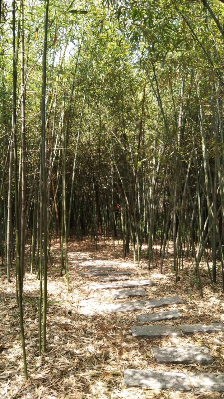 骆驼山竹林寺
