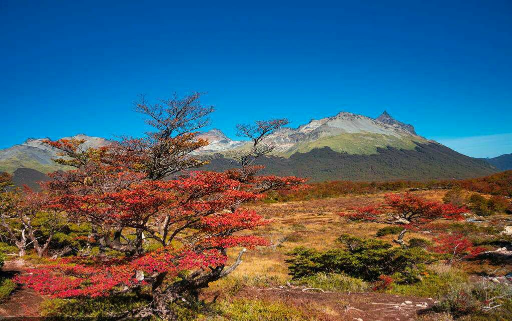 火地岛国家公园