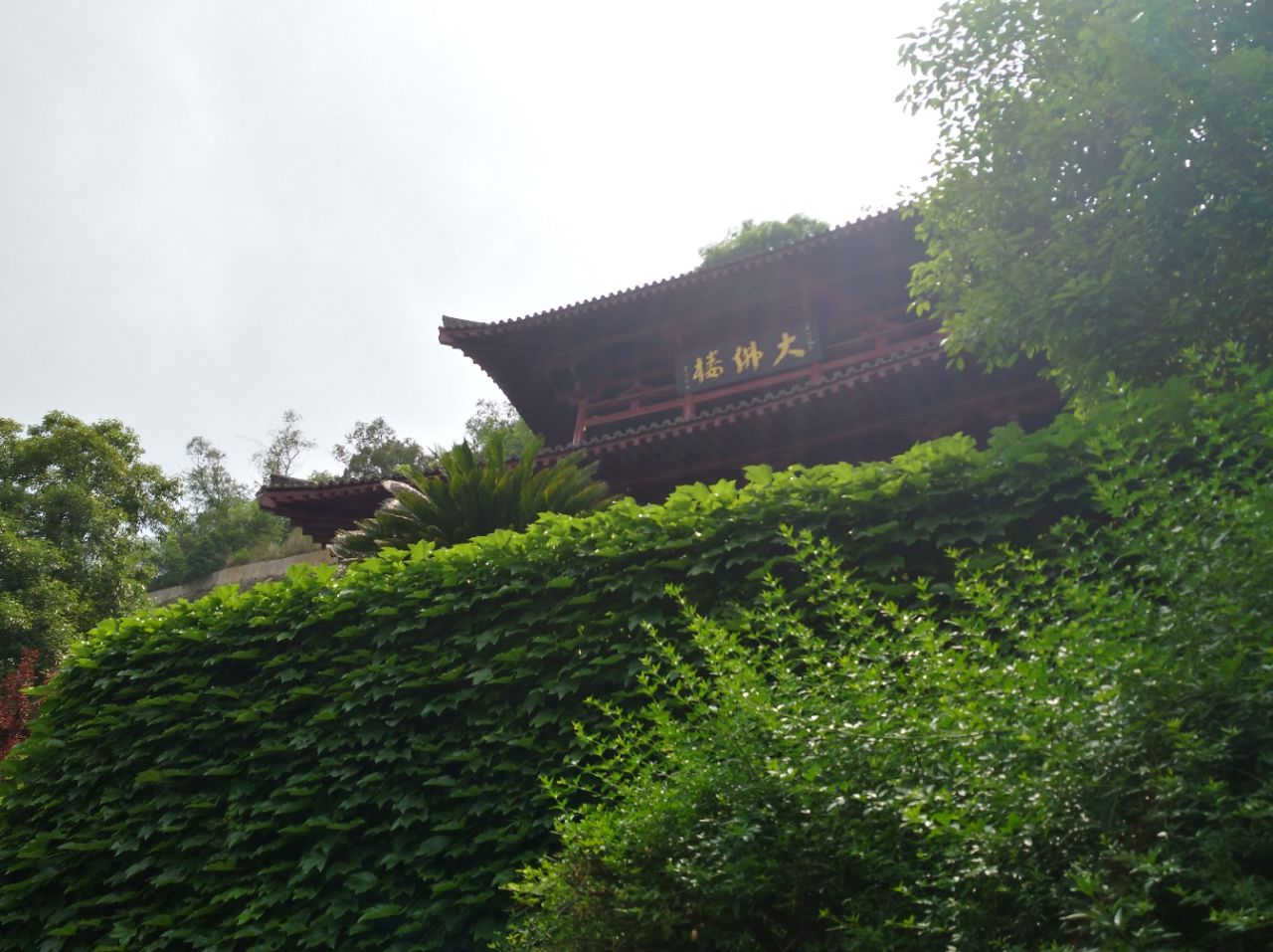 【携程攻略】广元皇泽寺好玩吗,广元皇泽寺景点怎么样