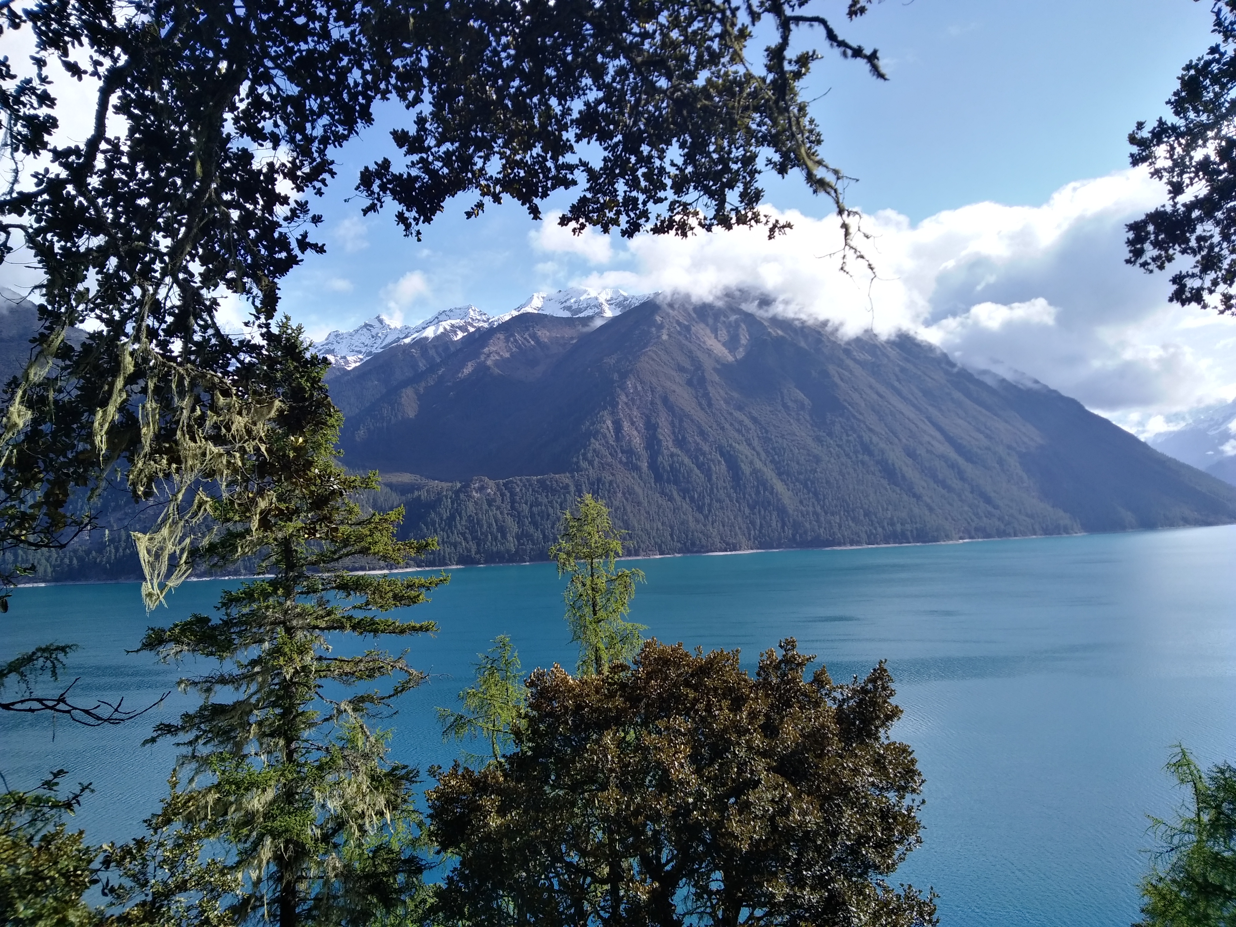 巴松措景区集雪山,湖泊,森林,瀑布牧场,文物