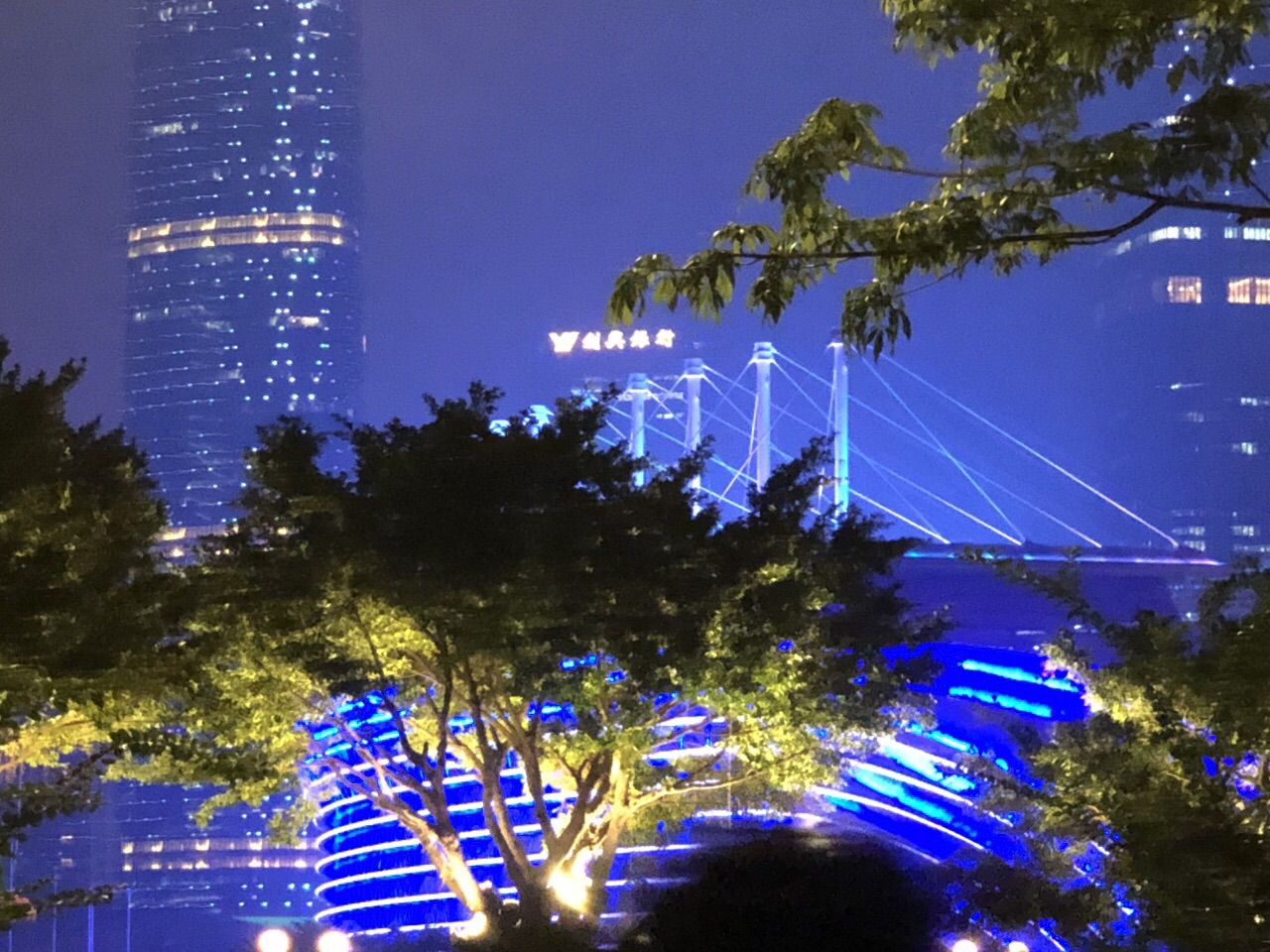 海心沙公园是广州的地标性建筑,在亚运会开幕式上惊艳亮相,海心沙的