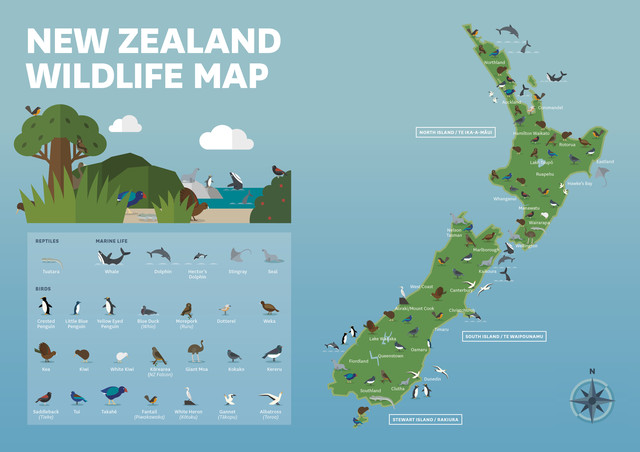 (新西兰野生动物地图   图片版权:tourism new zealand)