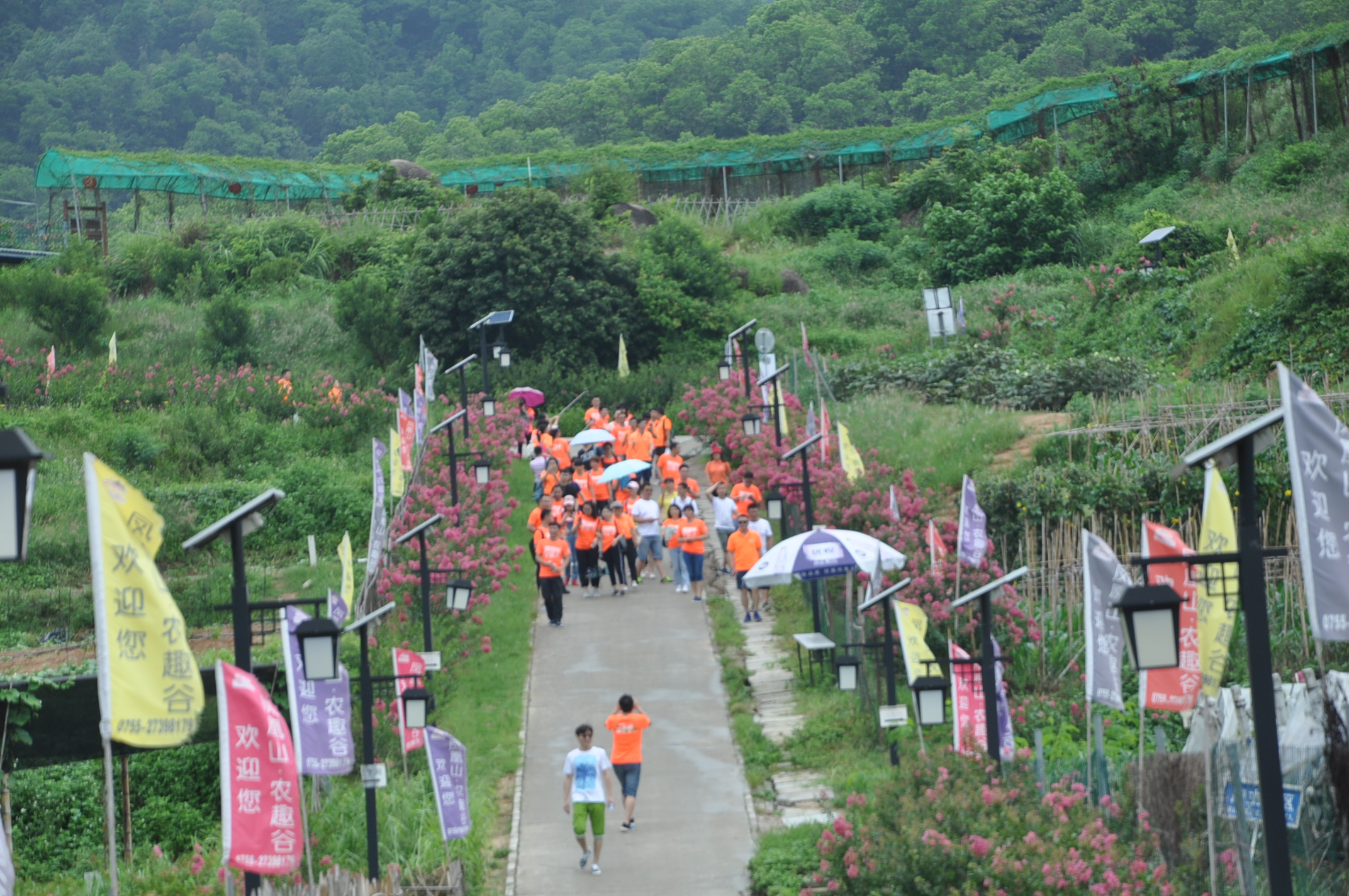 2019凤凰山农趣谷_旅游攻略_门票_地址_游记点评,深圳旅游玩乐推荐