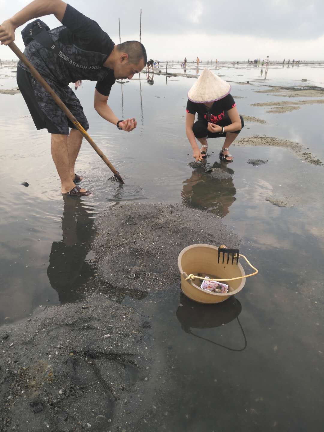 北海红树林天天赶海好玩吗,北海红树林天天赶海景点样