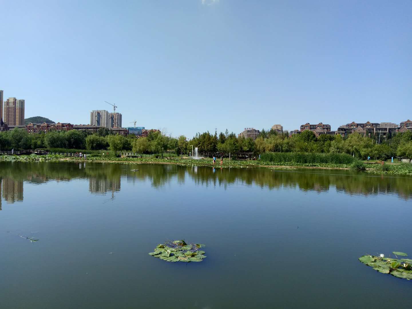 前关湿地公园