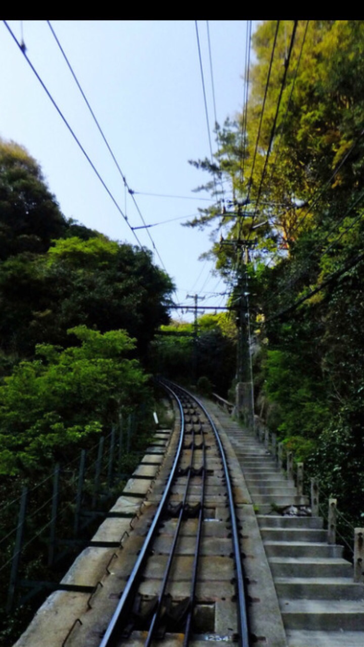 六甲高山植物园