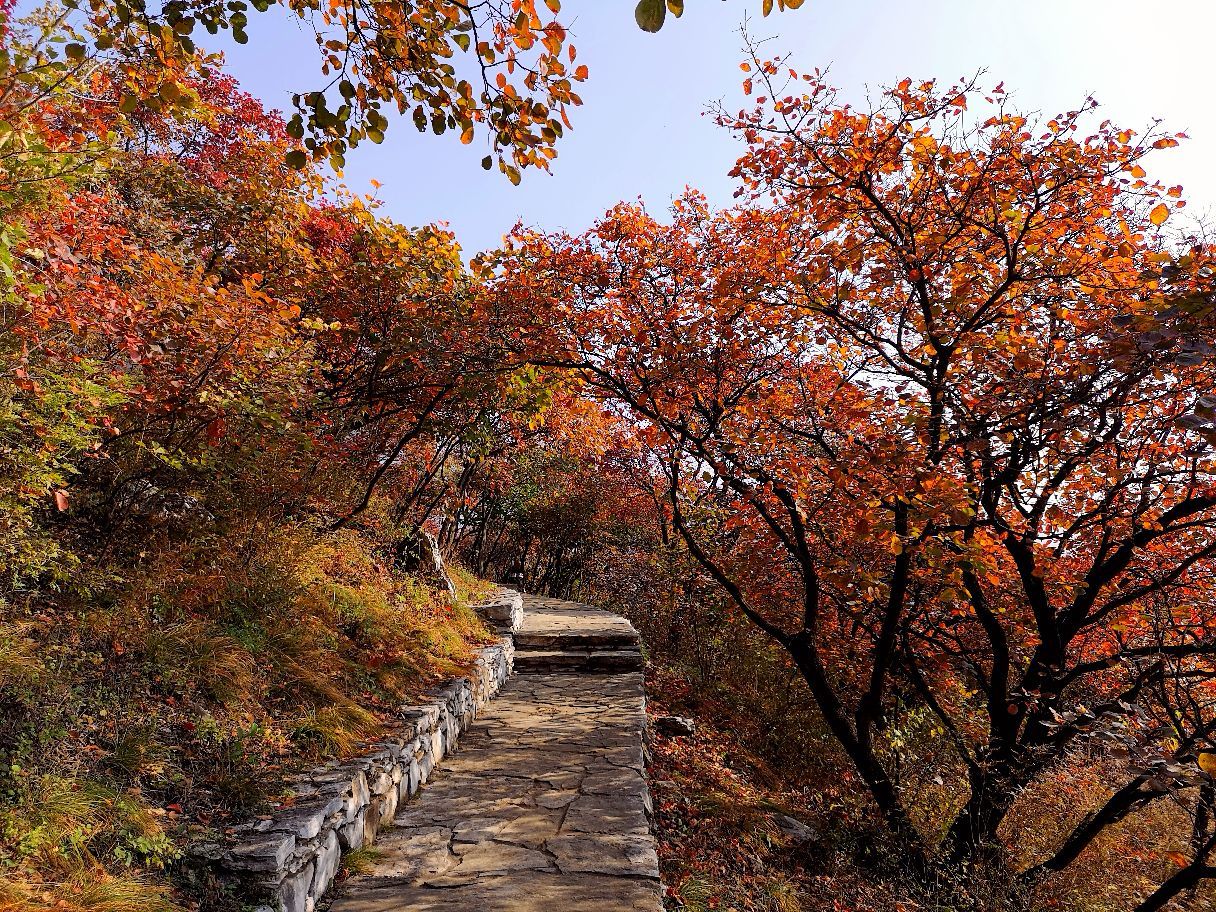 坡峰岭旅游景点攻略图