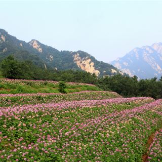 昆嵛山石门里景区