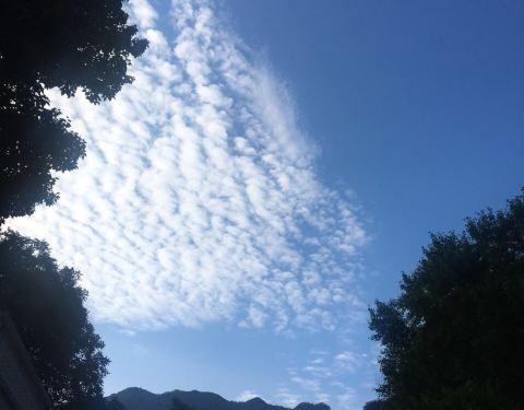 2019红河谷森林公园攻略,眉县红河谷森林公园网小武3剑门票橙图片