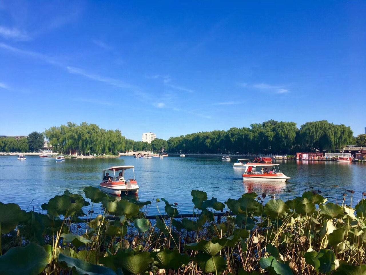 后海公园旅游景点攻略图