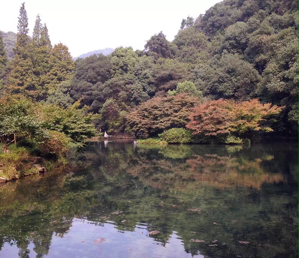 九溪烟树旅游景点攻略图
