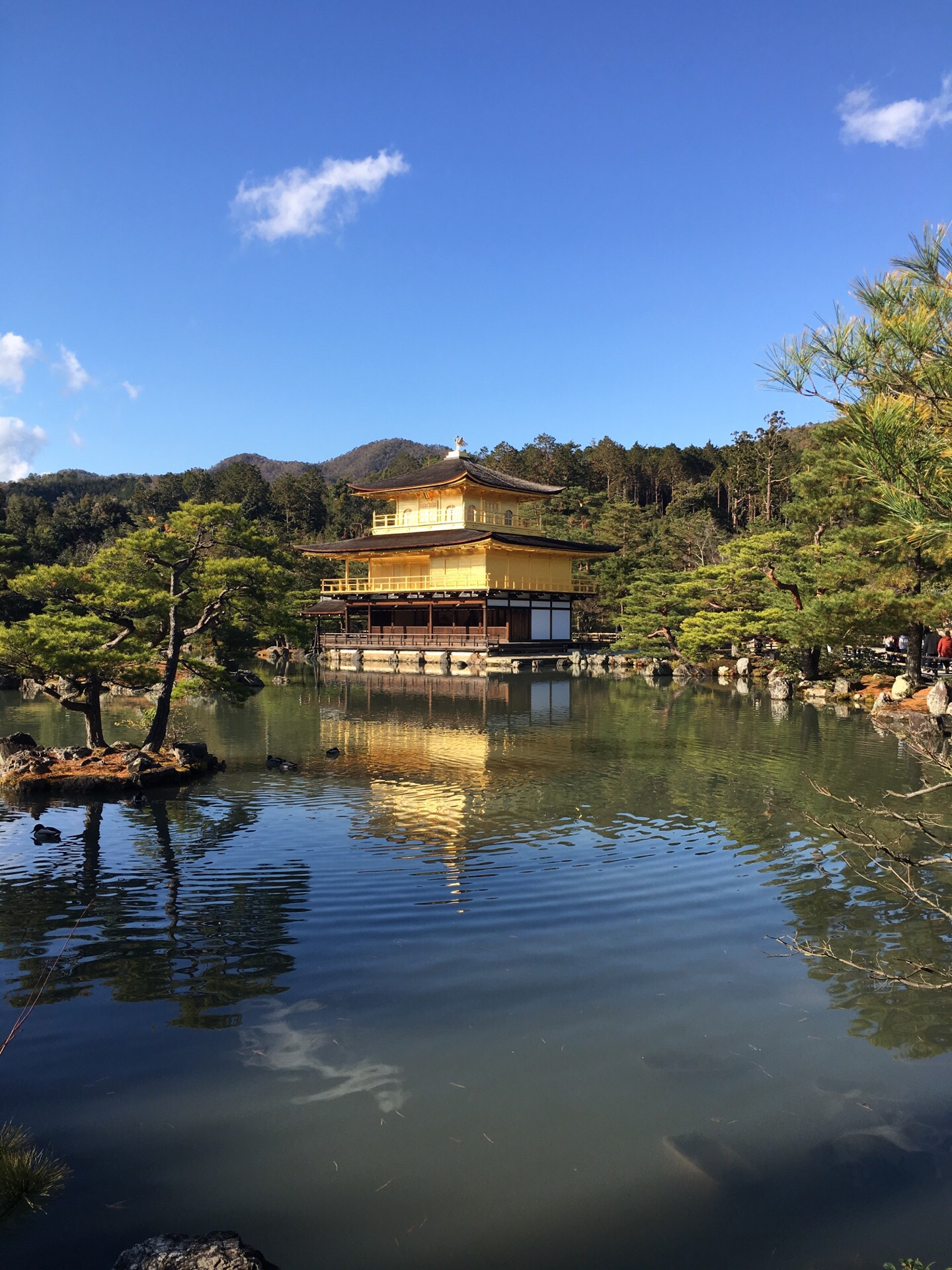 2019金阁寺_旅游攻略_门票_地址_游记点评,京都旅游