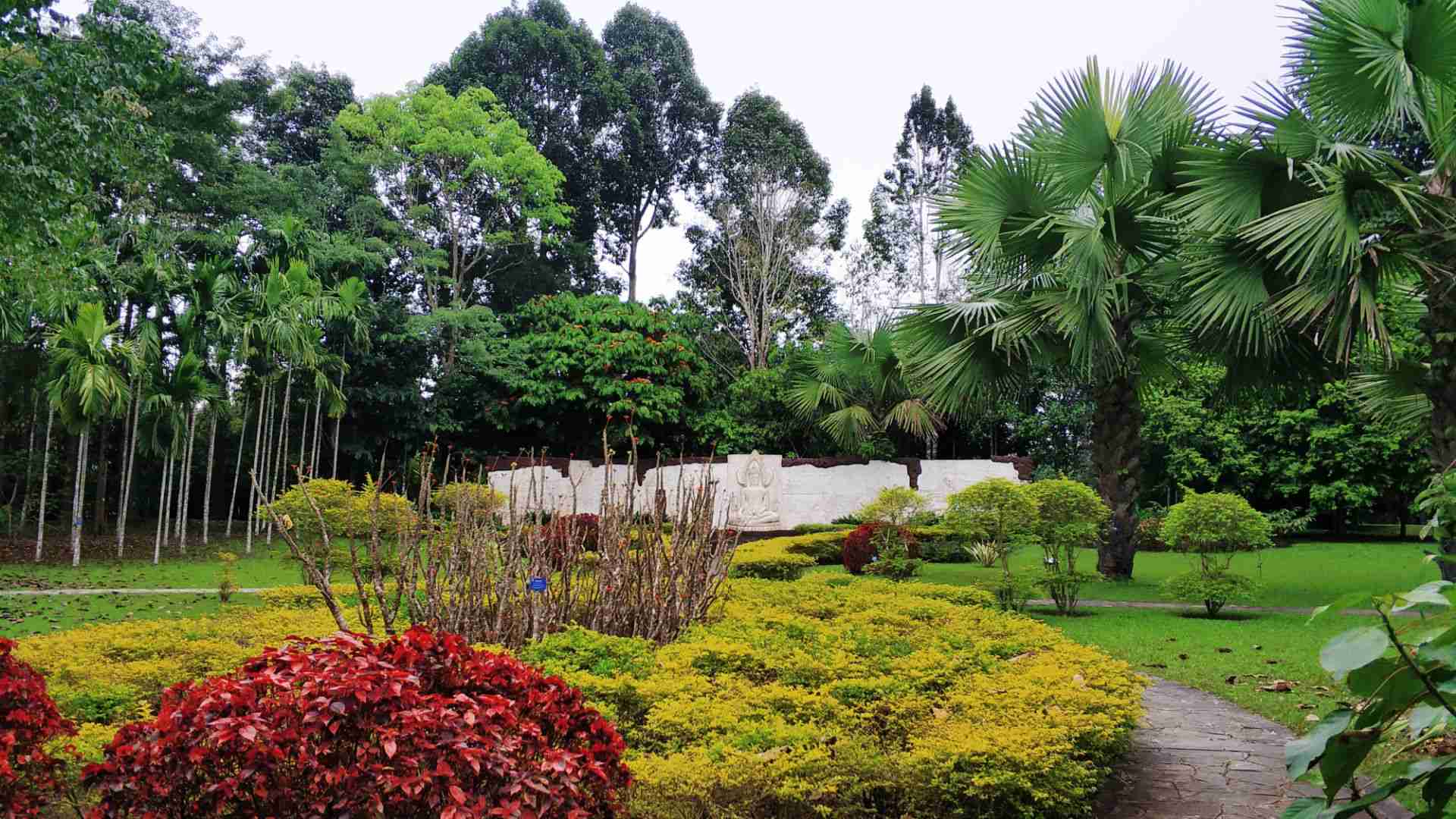 中科院西双版纳热带植物园