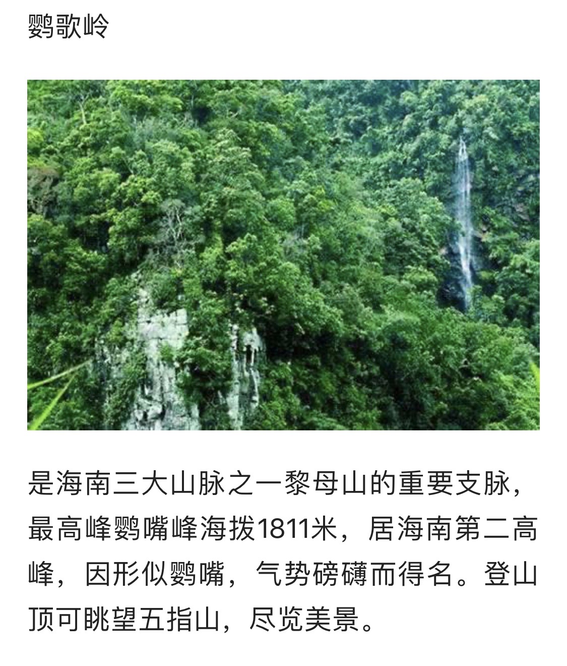 琼中鹦哥岭可以眺望五指山