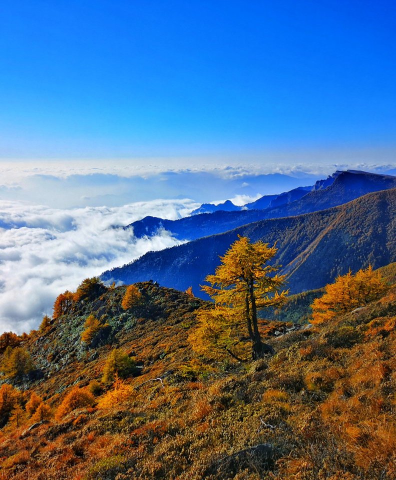 太白山国家森林公园