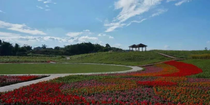 武胜梦田花海 其它景点 景点与地标 距玩乐4.0km