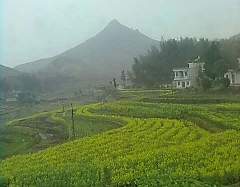 2019贵清山旅游风景区攻略,定西贵清山旅游风台湾去浙江自驾游门票图片