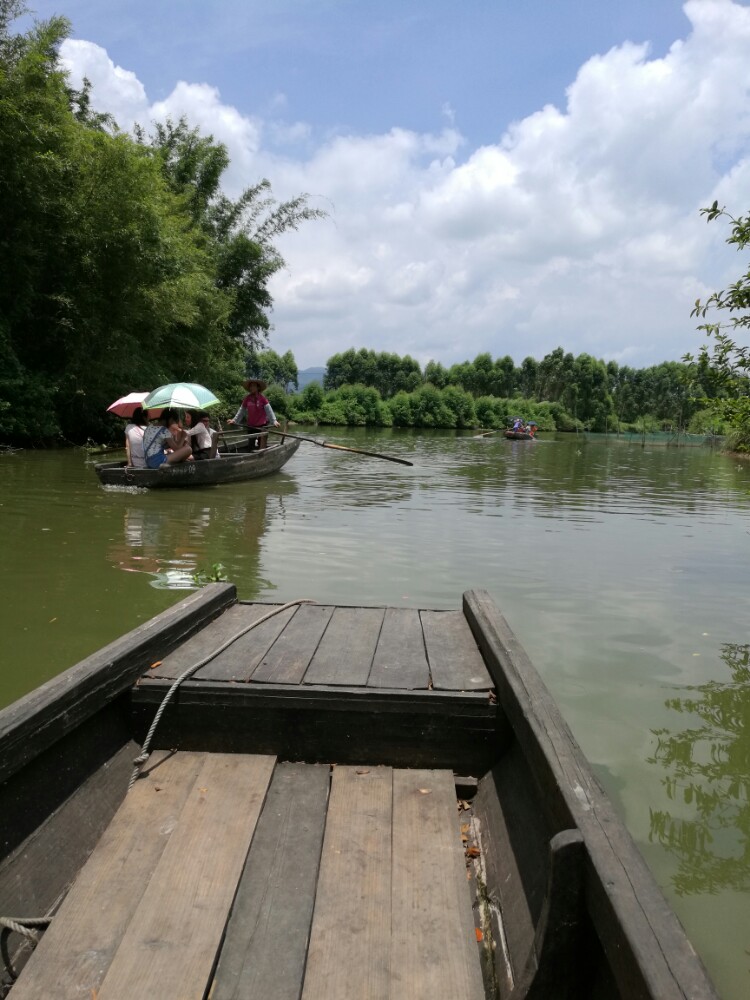古劳水乡