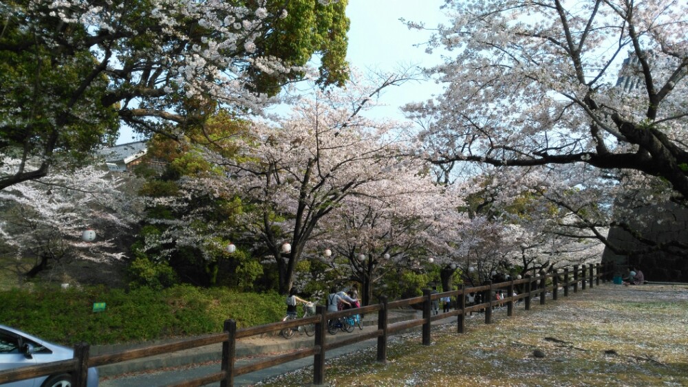 熊本城