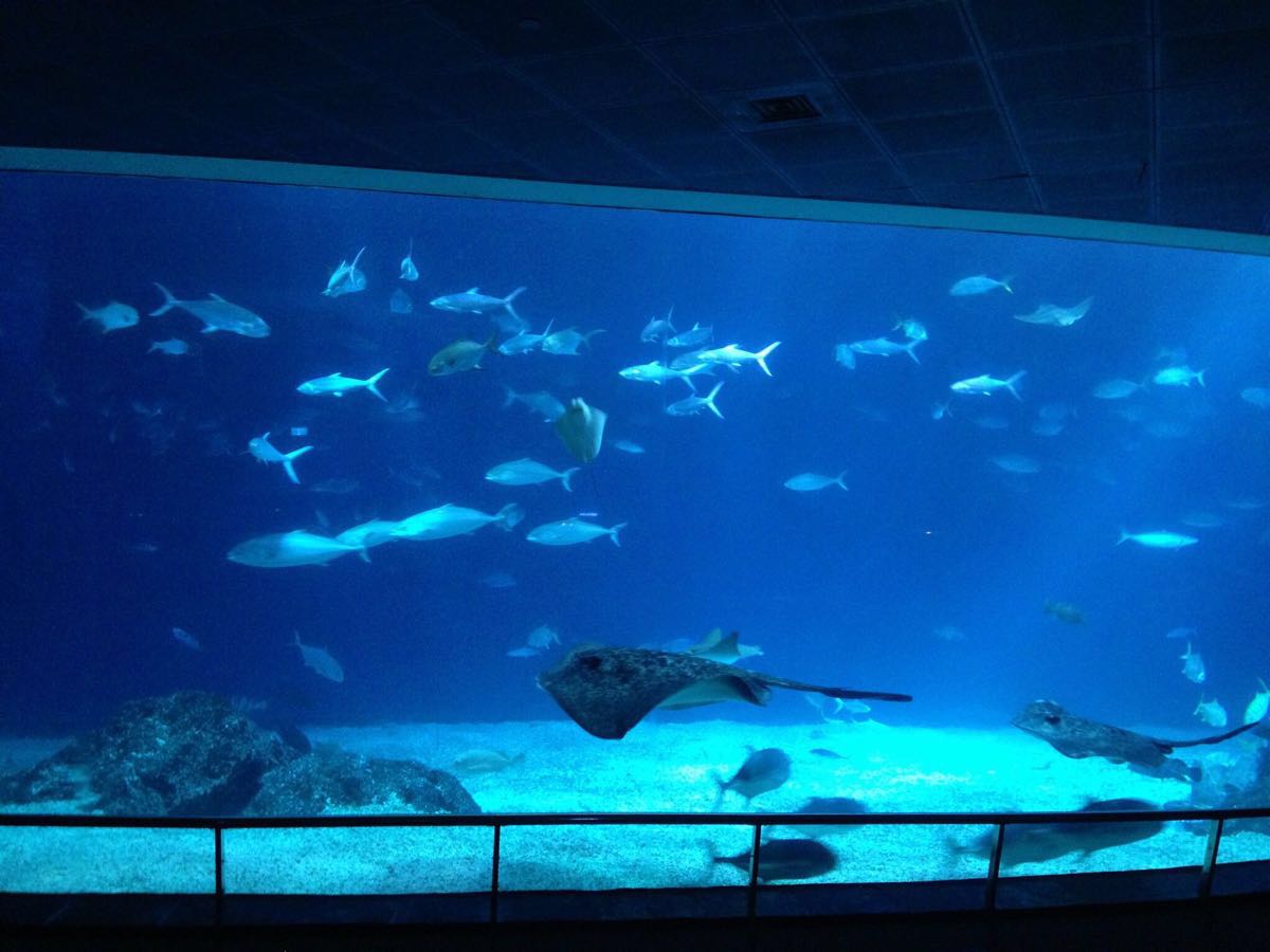 台湾海洋生物博物馆