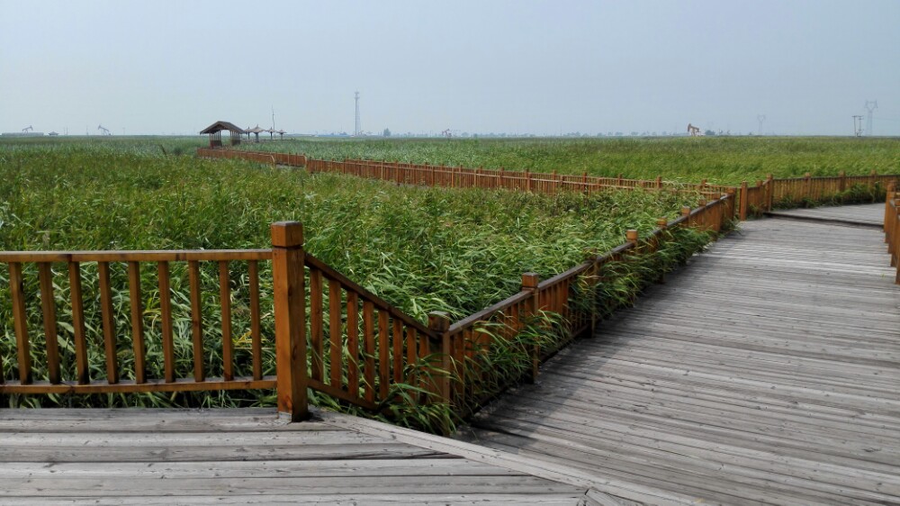 鼎翔生态旅游度假区