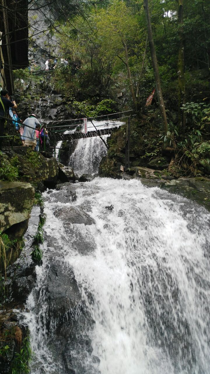 2019藏龙百瀑_旅游攻略_门票_地址_游记点评,安吉旅游