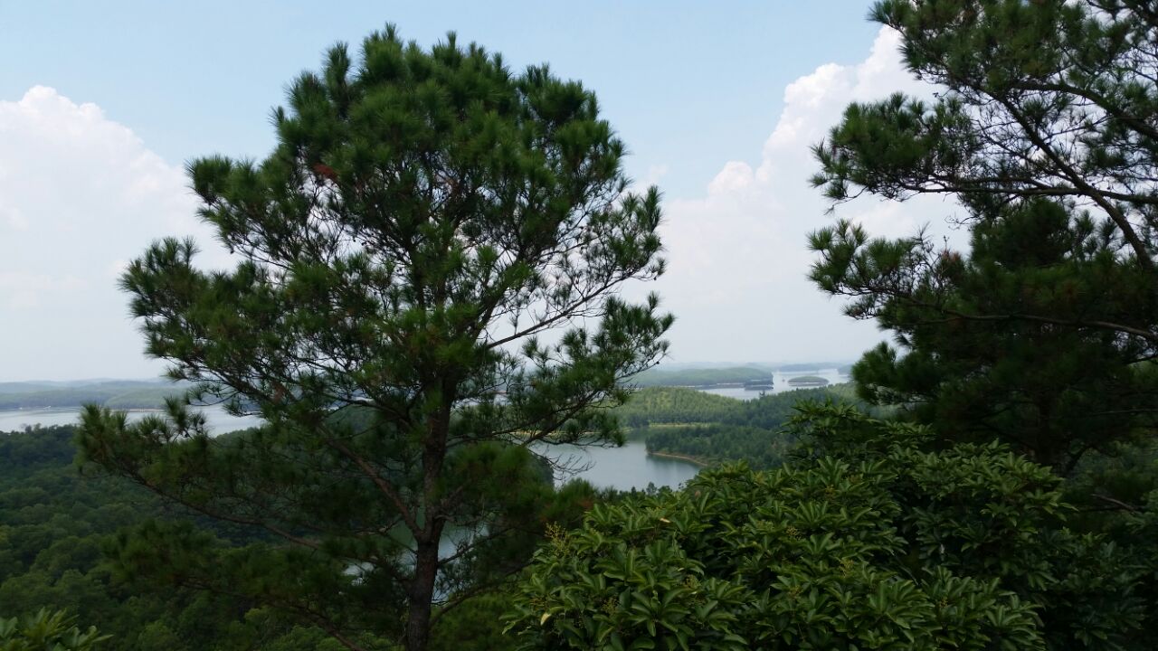 星岛湖旅游景点攻略图