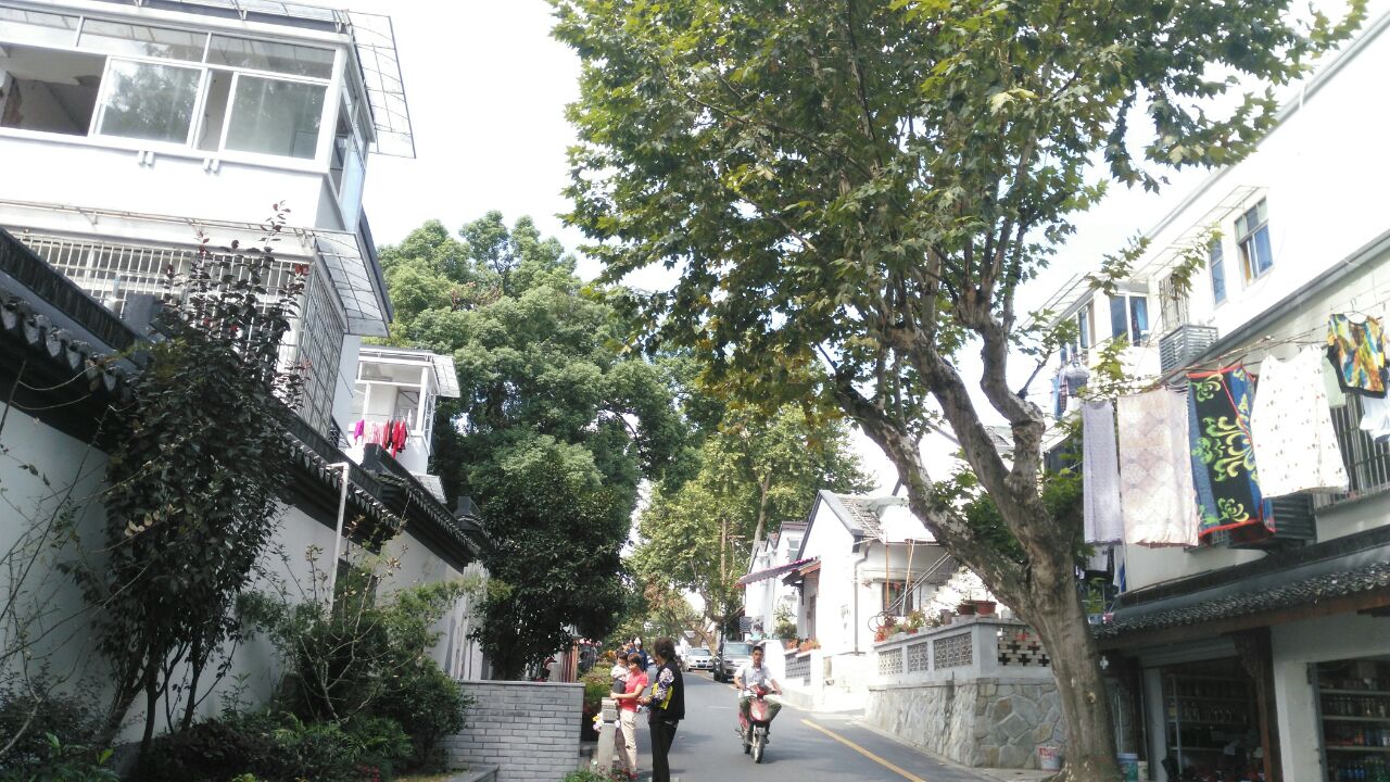 2021馒头山社区-旅游攻略-门票-地址-问答-游记点评,杭州旅游旅游景点