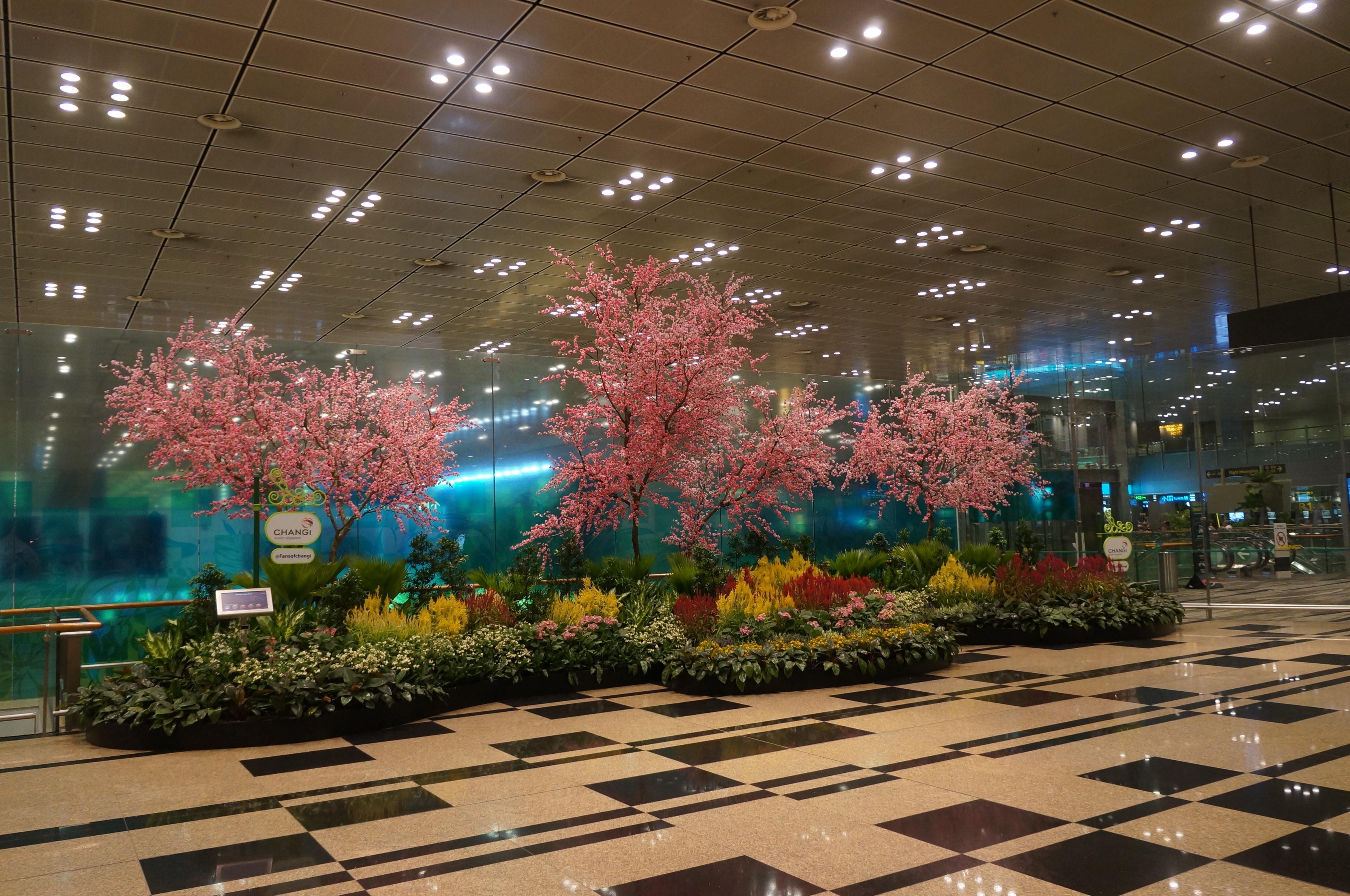 cz是哪个航空公司的代码_南方航空cz3532_cz是哪个航空公司