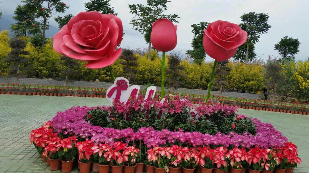 那里花开主题公园