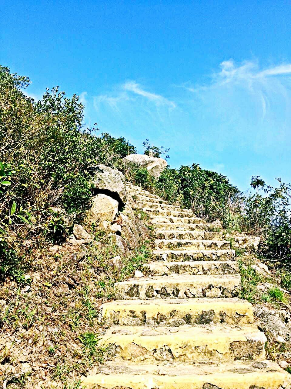 南大屿山郊野公园