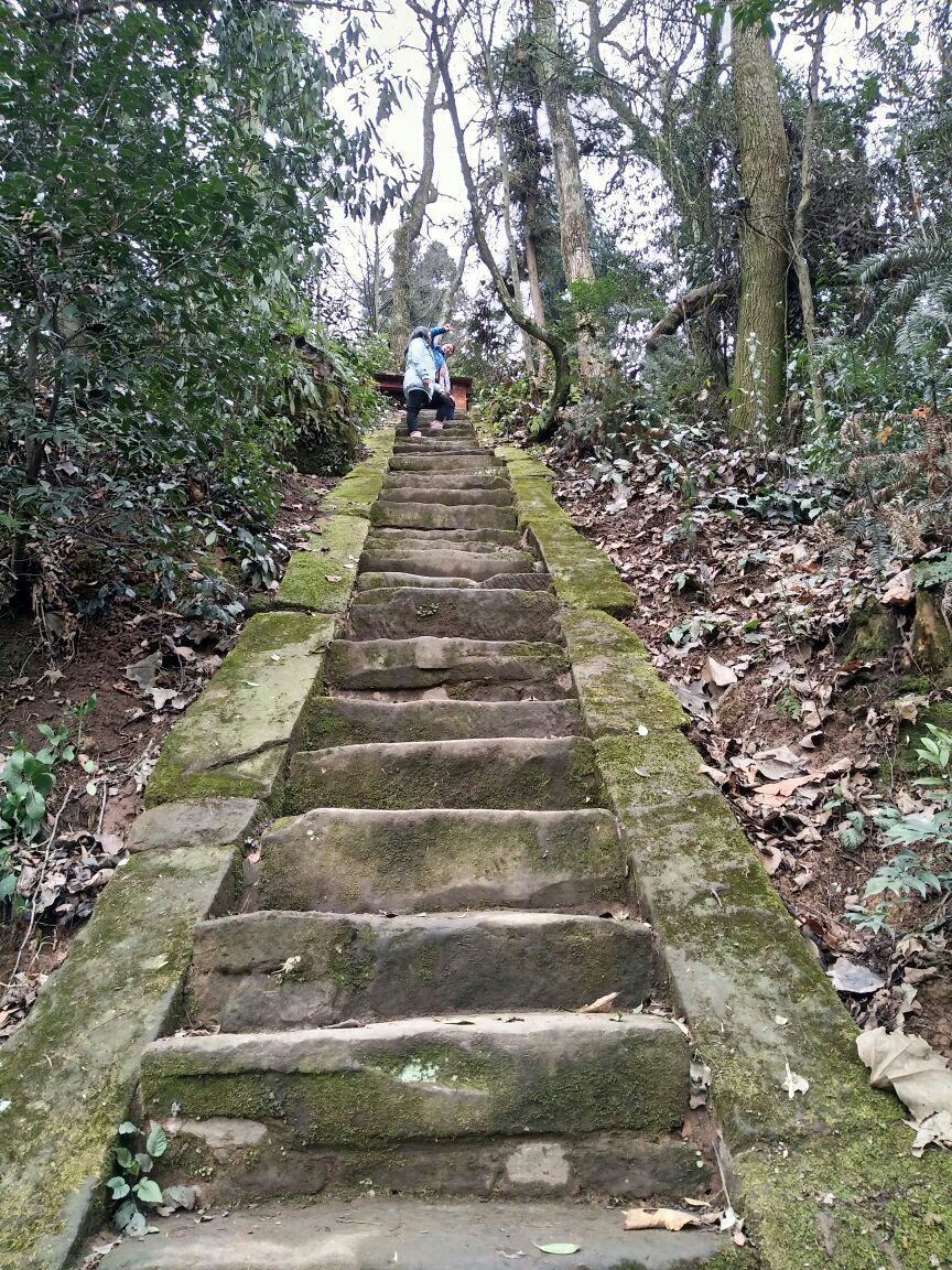 蒙顶山旅游景点攻略图
