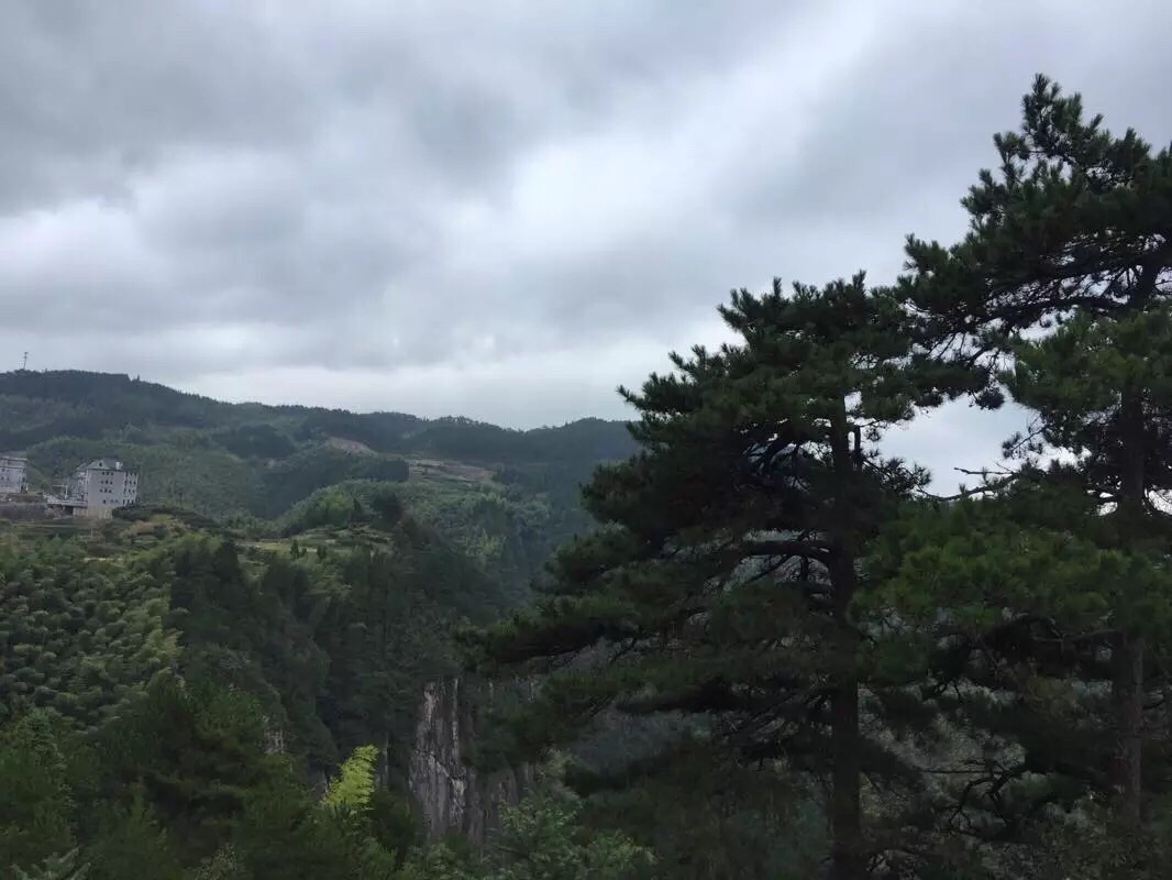 出遂昌县城,沿遂龙复线往石练镇的方向走,过石练镇后,转入到南尖岩的一条小路。这段路18公里,有16公里是盘旋的山路,路比较狭窄,需要小心驾驶。在这里有一长条走廊,可以用来架设三脚架拍摄南尖岩的的梯田景色。这一点挺好的。对于只想拍摄而不愿意再花钱进入景区的摄影者来说,是非常厚道的。值得点赞。收费景点的门口,有南尖岩度假村可供住宿,也可以到边上的石笋头村,也有不少农家可供住宿。花30元门票,可以进入到南尖岩风景区里。其实这个景点还是蛮值的。其规划的路线就是围绕着南尖岩的梯田走一个环形线路。沿途也有不少可圈可点