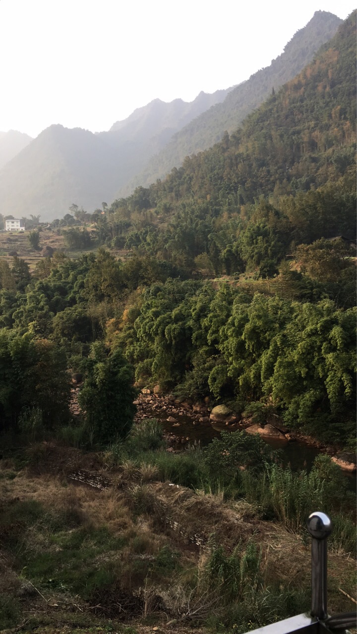 【携程攻略】合江自怀原始森林风景区景点,自怀景区位于合江县自怀镇