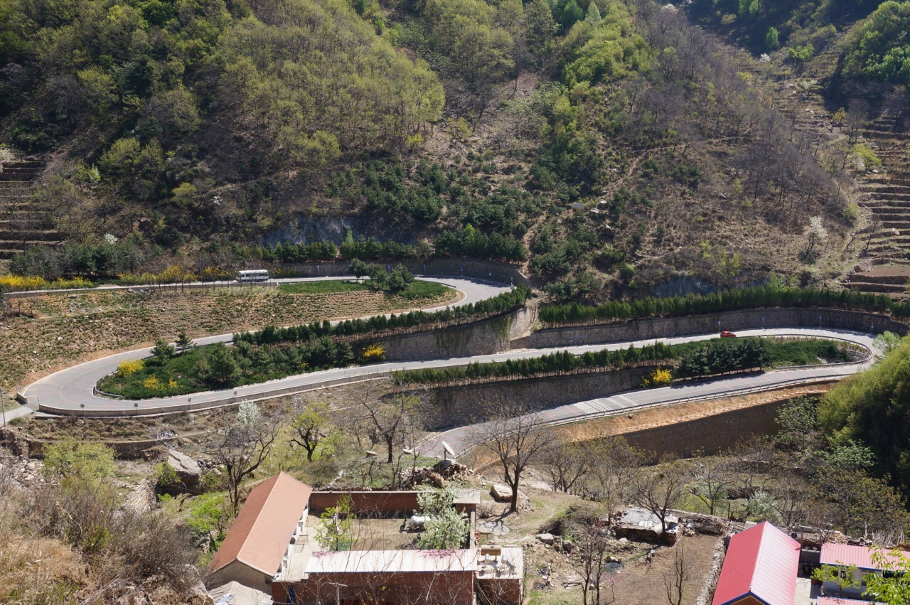 就是一段特别崎岖的盘山公路,春花烂漫之时路两边桃花,梨花竞相开放